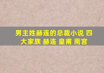 男主姓赫连的总裁小说 四大家族 赫连 皇甫 南宫